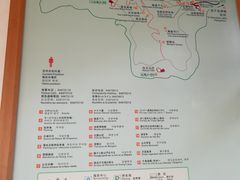 -千岛湖石林