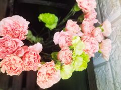 -雪蔓之鲜花气球派对(家佳源时代中心店)