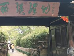 -西溪国家湿地公园