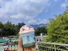 -雾与山茶(大禹城店)