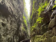 -武陵山森林公园