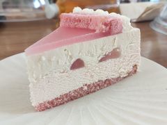 -有猫主题·治愈系猫咖(曾厝垵店)