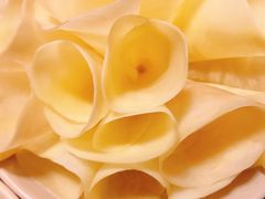 功夫土豆片-蜀大侠火锅(寰球文化地标·总府店)