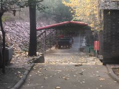 -龙裕山庄烤全羊