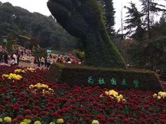 -富乐山