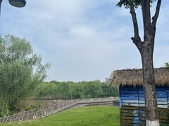 -西安浐灞国家湿地公园