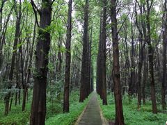 -同里国家湿地公园