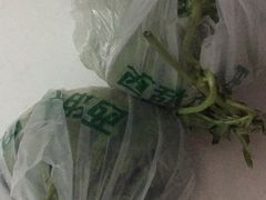 -庞各庄西瓜蔬菜采摘园·锦华瓜园