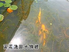 -上海儿童博物馆