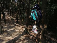 -火炉山森林公园