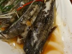 -七仙岭君澜度假酒店·桃源小馆中餐厅