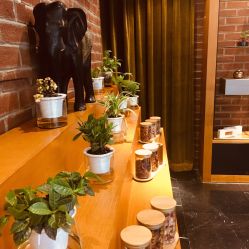 -时尚殿堂·颜SPA