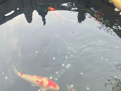 -西安市广仁寺