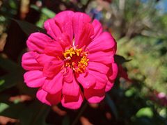 -海南热带野生动植物园