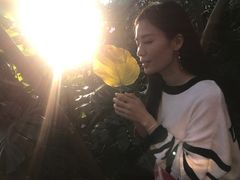 -北京植物园-展览温室