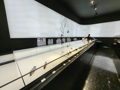 -BLACKSWAN黑天鹅(环球店)