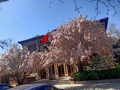 -天津五大道文化旅游区