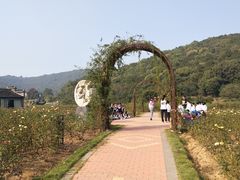 -龙寺生态园