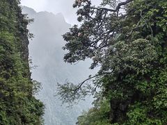 -峨眉山风景名胜区