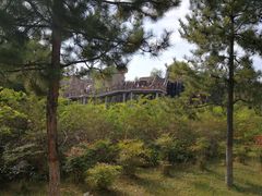 -函谷关历史文化旅游区