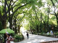 -共青国家森林公园-售票处