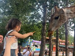 -大连森林动物园