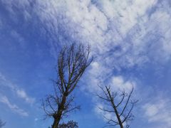 -重庆中央公园(渝北区)