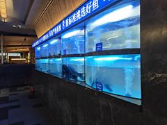 -三只耳冷锅鱼火锅(玉林店)