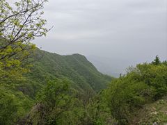 -鹫峰国家森林公园