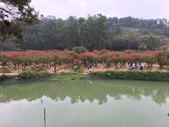 -南国桃园旅游度假区