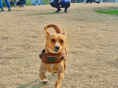 -栖露营camping·天幕烧烤·团建拓展·采摘营地