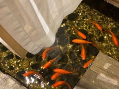 -邈墨茶馆(凤起路店)