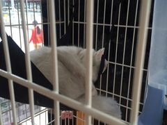 -熊猫邮局(少城店)