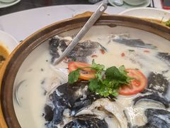 -全乐鱼馆·淳牌有机鱼直营店