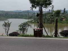 -枫香湖儿童公园