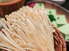 -季季山·云南野生菌火锅(上海首店)