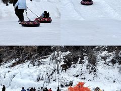 -少华山国家森林公园