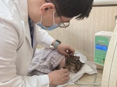 -北京观赏动物医院·24小时大型综合·猫专科·异宠专科