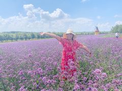 -北纬44度·金珠花海休闲农业旅游景区