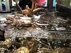 -蟹之国·精品蟹料理(极地店)