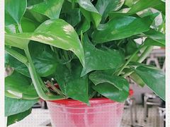 -热火朝天鲜切牛肉火锅(南强街巷店)