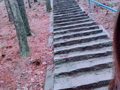 -四明山国家森林公园