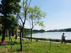 -南国桃园旅游度假区