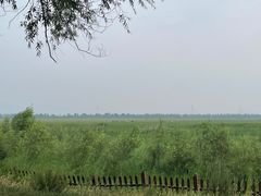 -野鸭湖国家湿地公园