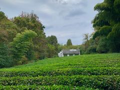 -敬亭山风景名胜区