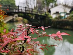 -西溪国家湿地公园