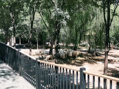 -石家庄市动物园