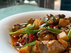 饵块鸡-红豆园(文林街店)