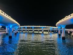 -演武大桥观景平台