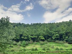 -九龙潭景区